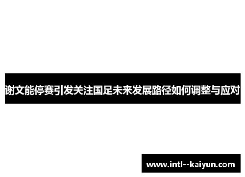 谢文能停赛引发关注国足未来发展路径如何调整与应对